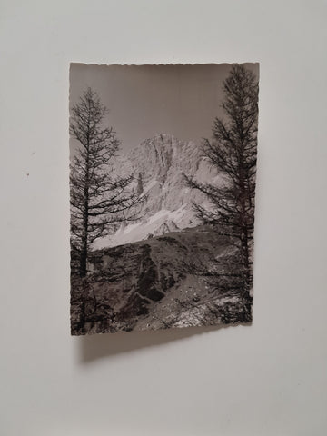 AK Dachstein Südwandhütte.