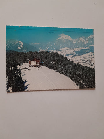 AK Ramsau am Dachstein. Hotel Berggasthof Erlbacher.