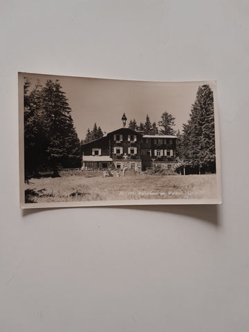 AK Hallerhaus am Wechsel.