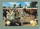 AK Libya Cattle Market. Mercato Bestiame.