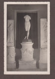 AK Aquileia. R. Museo Venere.
