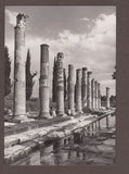 AK Aquileia. Le Colonne del Portico di Levante del Foto.
