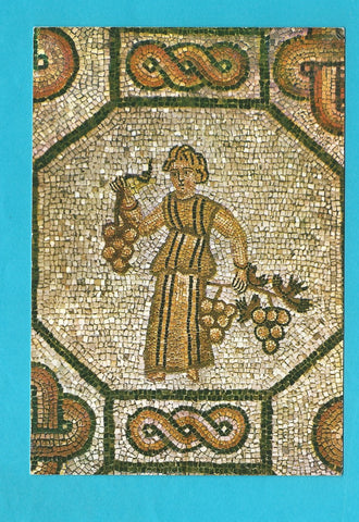 AK Aquileia. Basilica di Poppo. Mosaico pavimentale. Fanciulla che offre grappoli di uva.