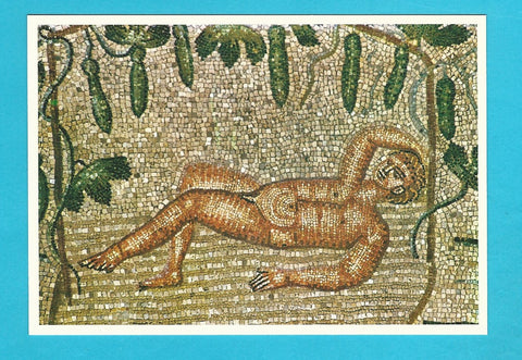 AK Aquileia. Basilica di Poppo. Mosaico pavimentale. Il riposo di Giona.