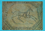 AK Aquileia. L'Antilope - Mosaico.