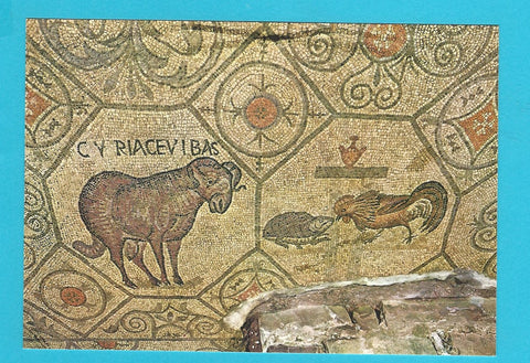 AK Aquileia - Basilica di Popo. Mosaico pavimentale (Ariete con Cyriace, vibas, gallo e tartaruga)