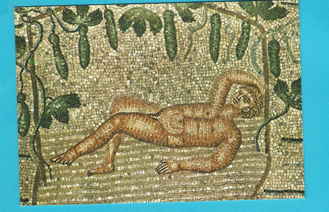 AK Aquileia. Basilica di Poppo. Mosaico pavimentale. Il riposo di Gio