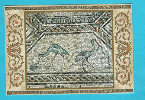 AK Basilica di Aquileia. pavimento musivo. Cicogne a caccia di cibo.