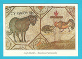 AK Aquileia. Basilica - Cripta degli scavi - pavimento musivo. Lotta del gallo con la tartaruga.