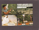 AK Abu Dhabi. Arid Lands Research Center on Sadiyat Island.