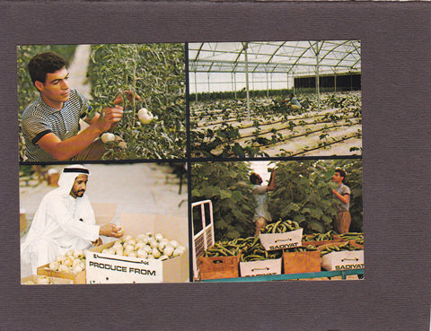 AK Abu Dhabi. Arid Lands Research Center on Sadiyat Island.