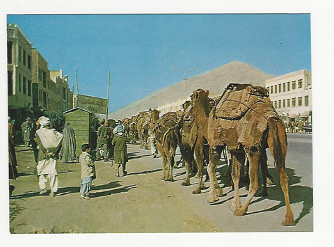 AK Afghanistan. Camels in a Kabul Street.