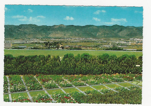 AK A bird's eye view of Islamabad, the New Capital of Pakistan.