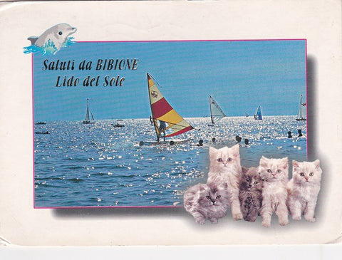 AK Saluti da Bibione Lido del Sole.