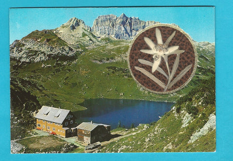 AK Freiburgerhütte - Klostertal. (Edelweiss)