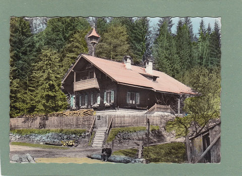 AK Alpl 1100m Roseggers Waldheimat Waldschule.