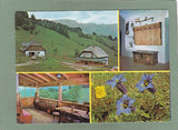 AK Falkenstein-Alm mit Schneealmmassiv. Neuberg/Mürz.
