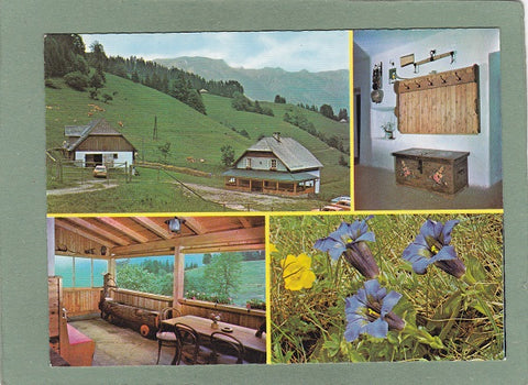 AK Falkenstein-Alm mit Schneealmmassiv. Neuberg/Mürz.