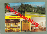 AK Mürzzuschlag. Gasthof Steinbauer R. u. M. Rinnhofer. Ganz 6.