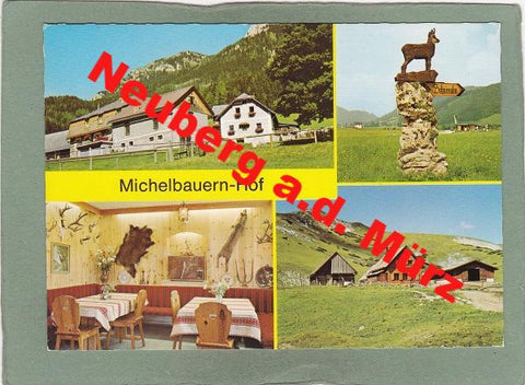 AK Neuberg an der Mürz. Michelbauernhof. Fam. Holzer.