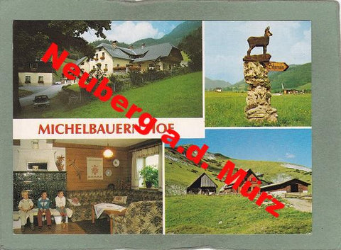 AK Neuberg an der Mürz. Michelbauernhof. Fam. Holzer.