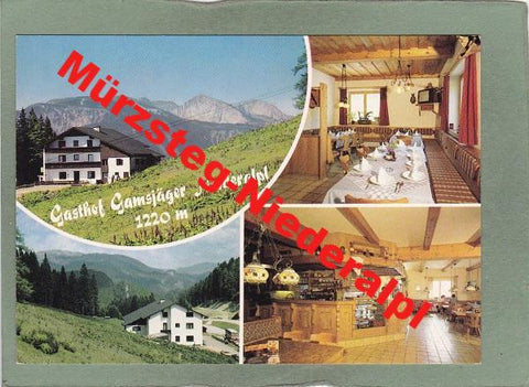 AK Mürzsteg-Niederalpl. Gasthof-Pension Gamsjäger.