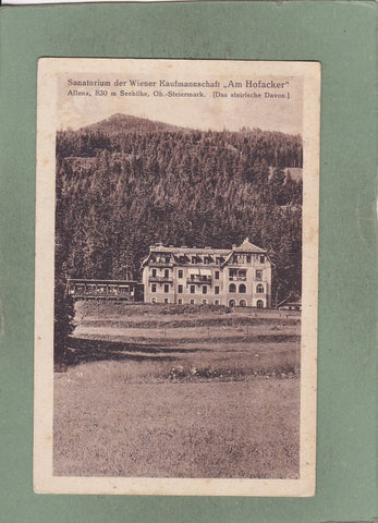 AK Aflenz, Sanatorium der Wiener Kaufmannschaft „Am Hofacker“ (Das steirische Davos) (1919)