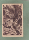 AK Grazer Alpenklubsteig durch die Bärenschützschlucht.  (um1926)