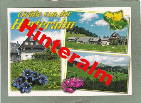AK Grüße von der Hinteralm. Hinteralmhaus, Neuberg.