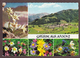 AK Grüße aus Aflenz.