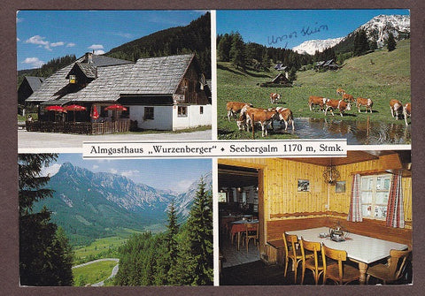 AK Seebergalm. Almgasthaus Wurzenberger.