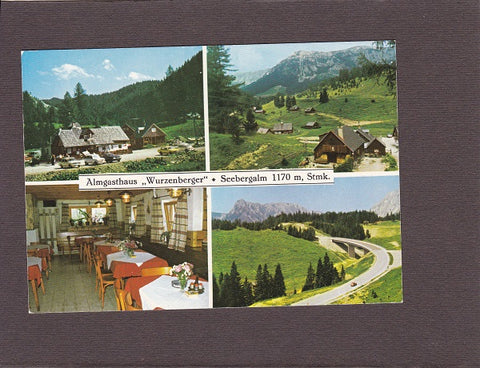 AK Seebergalm. Almgasthaus Wurzenberger.