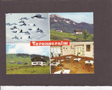 AK Turnaueralm.