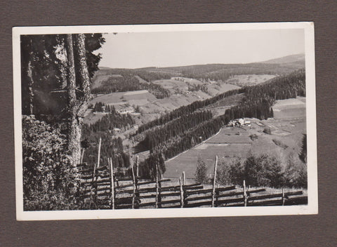 AK Blick von Roseggers Geburtshaus gegen Pretulalpe. (um1959)