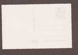 AK Krieglach. Peter Rosegger's Sterbehaus. (1968)