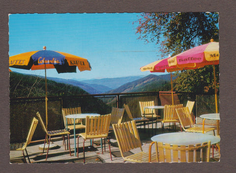 AK Alpl. Gasthof Holzbauer. J. u. A. Leitner. Rosegger‘s Waldheimat. Terrasse.