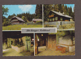 AK Peter Rosegger's Waldheimat.