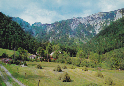 AK Oberwallner's Gastwirtschaft Tyrol bei Neuberg a.d. Mürz gegen Ausgang, Schönhaltereck, Schneealpe.