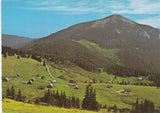AK Turnaueralpe mit Rauschkogel.