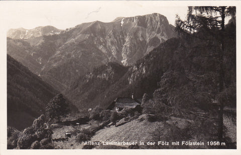AK Aflenz. Lammerbauer in der Fölz mit Fölzstein.