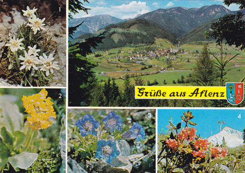 AK Grüße aus Aflenz.