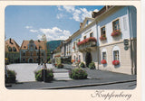 AK Kapfenberg.