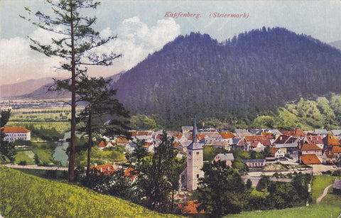 AK Kapfenberg.