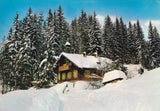 AK Waldschule. Peter Roseggers Waldheimat. Alpl.
