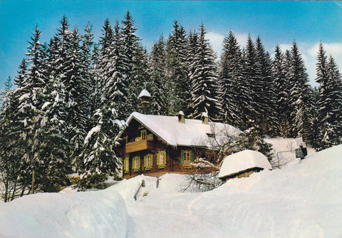 AK Waldschule. Peter Roseggers Waldheimat. Alpl.