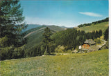 AK Alpl. Gasthof Holzbauer. J. u. A. Leitner. Rosegger's Waldheimat.
