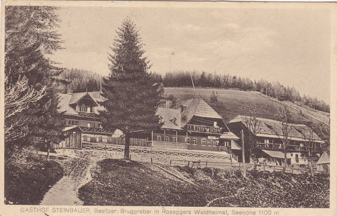 AK Gasthof Steinbauer, Besitzer Bruggraber in Roseggers Waldheimat. Alpl.