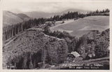 AK Alpl (Waldheimat) Blick gegen Hohe Veitsch. (1931-32)
