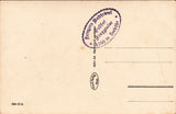 AK Waldheimat Alpl bei Krieglach, Rosegger's Geburtshaus. (1933-34)