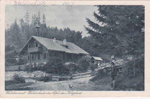 AK Waldheimat Waldschule in Alpl bei Krieglach. (1923)